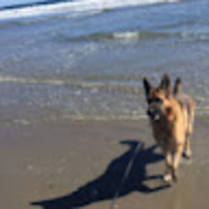 Meet your Posher, Leah